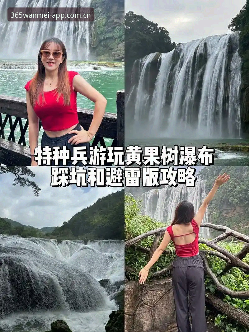 揭秘完美体育实时数据安装教程：避开90%新手踩过的坑